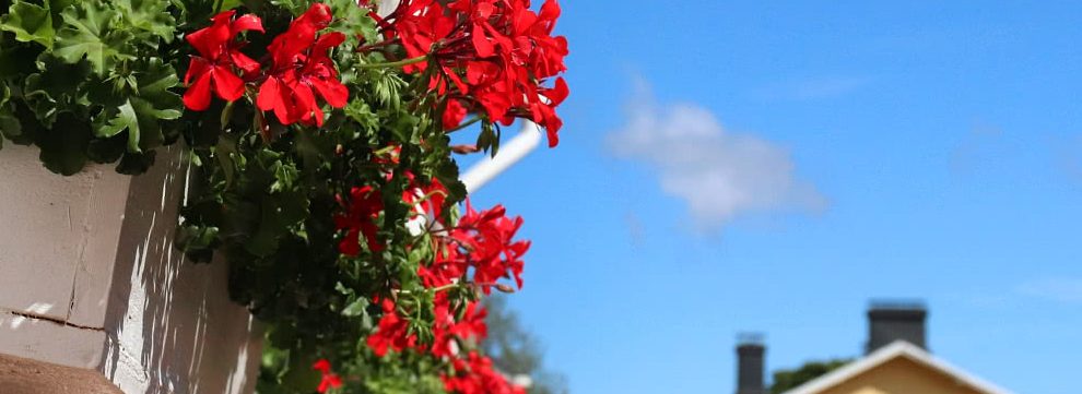 Soinin hotellit ja majoitusvaihtoehdot Suomessa 1 soinin hotellit ja majoitusvaihtoehdot suomessa